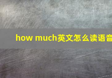 how much英文怎么读语音